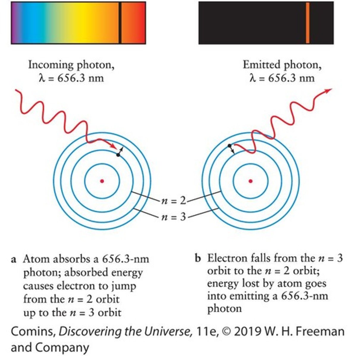 <p>Bright lines that appear in a spectrum when a gas is viewed against a cold, dark background.</p>
