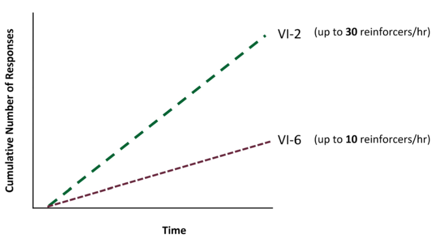 <p>Dashed Linear </p><p>Usually respond in steady rate to ensure that they don’t miss reinforcement</p>
