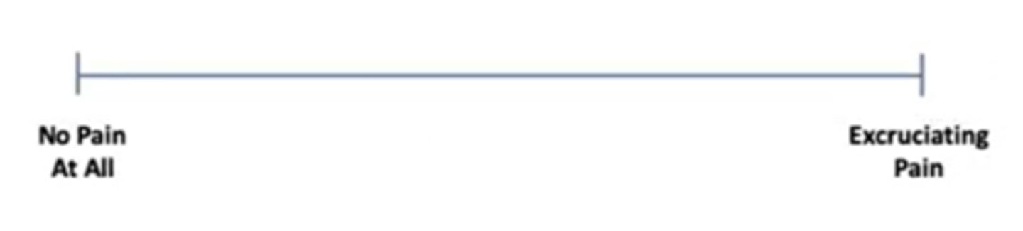 <p>What pain assessment tool is reliable for laminitis, colic, and synovitis:</p><p>a. visual analog scale</p><p>b. composite pain score</p><p>c. horse grimace space/pain face</p>