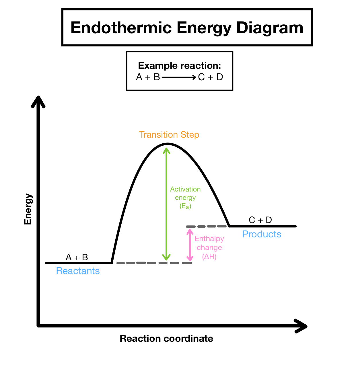 <p>endo- product above reactant (+)</p><p>exo- product below reactant (-)</p><p>y- potential energy</p><p>x- reaction progress</p>