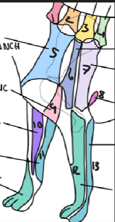 <p>name 9</p>