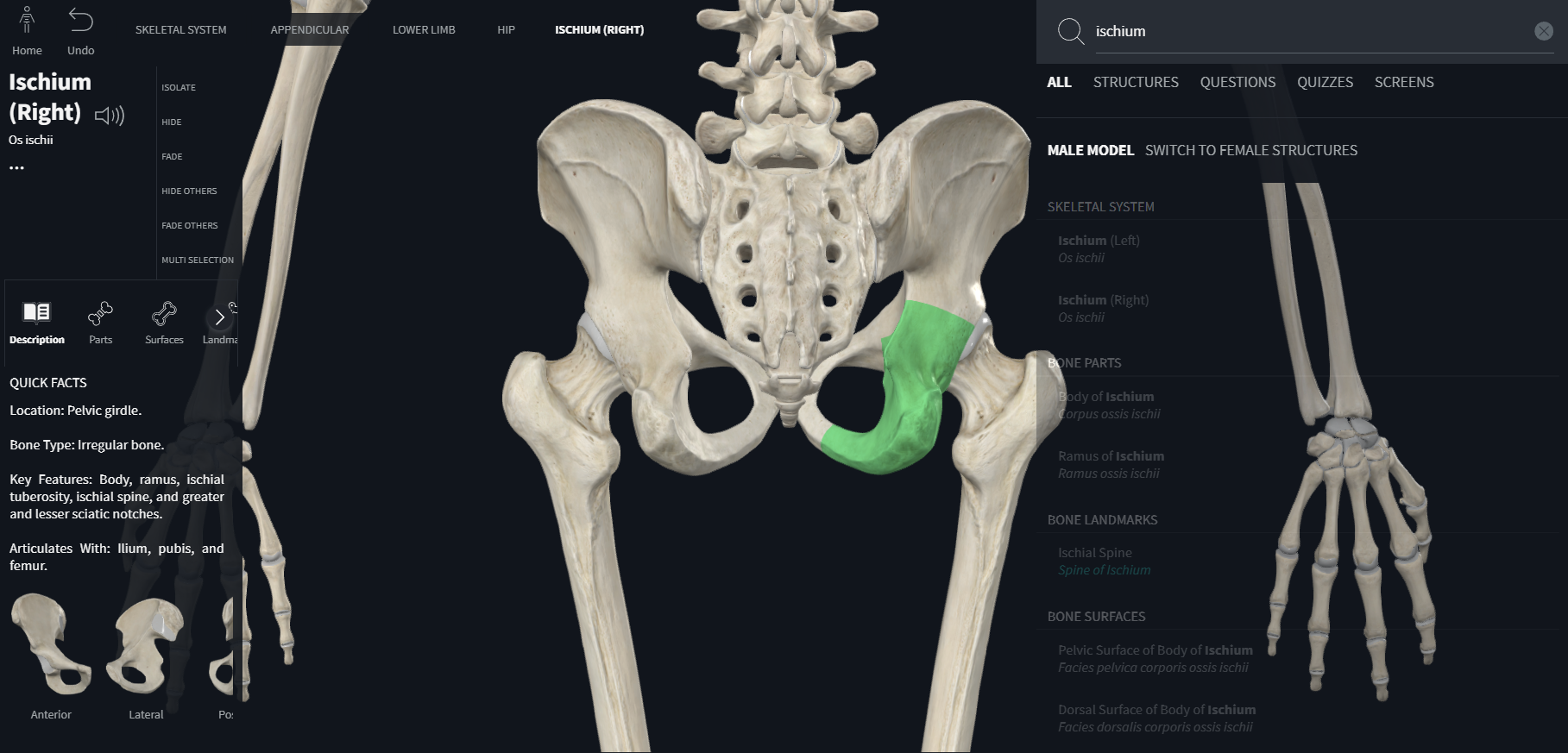 knowt flashcard image