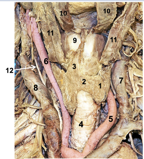 <p>5 and 6? </p>