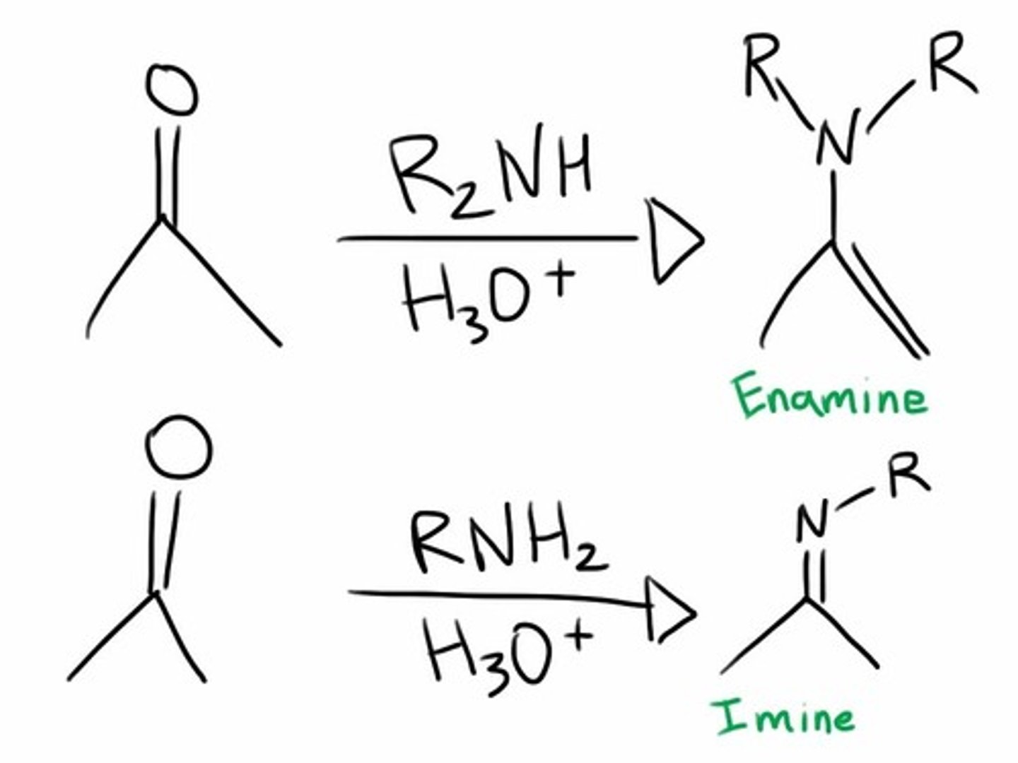 <p>An enamine is an unsaturated compound derived by the condensation of an aldehyde or ketone with a secondary amine. Enamines are considered to be nitrogen analogs of enols. If one of the nitrogen substituents is a hydrogen atom, H, it is the tautomeric form of an imine.</p>