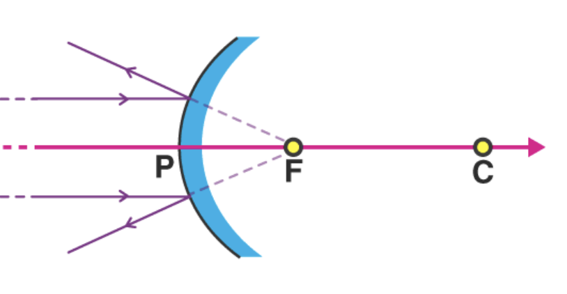 <p><strong><u>Bend outwards</u></strong> and are dome-shaped, <strong>obeys the law of reflection</strong> and forms an <strong>image smaller than the object</strong></p><p>→ produces a <strong><u>virtual image</u></strong></p>