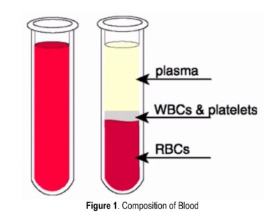 <p>NOTE: In the left test tube in Figure 1, there is presence of the formed elements, therefore it is whole blood</p>