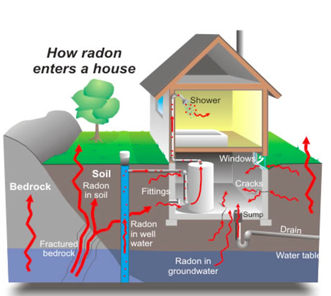 <p>radon, nm</p>