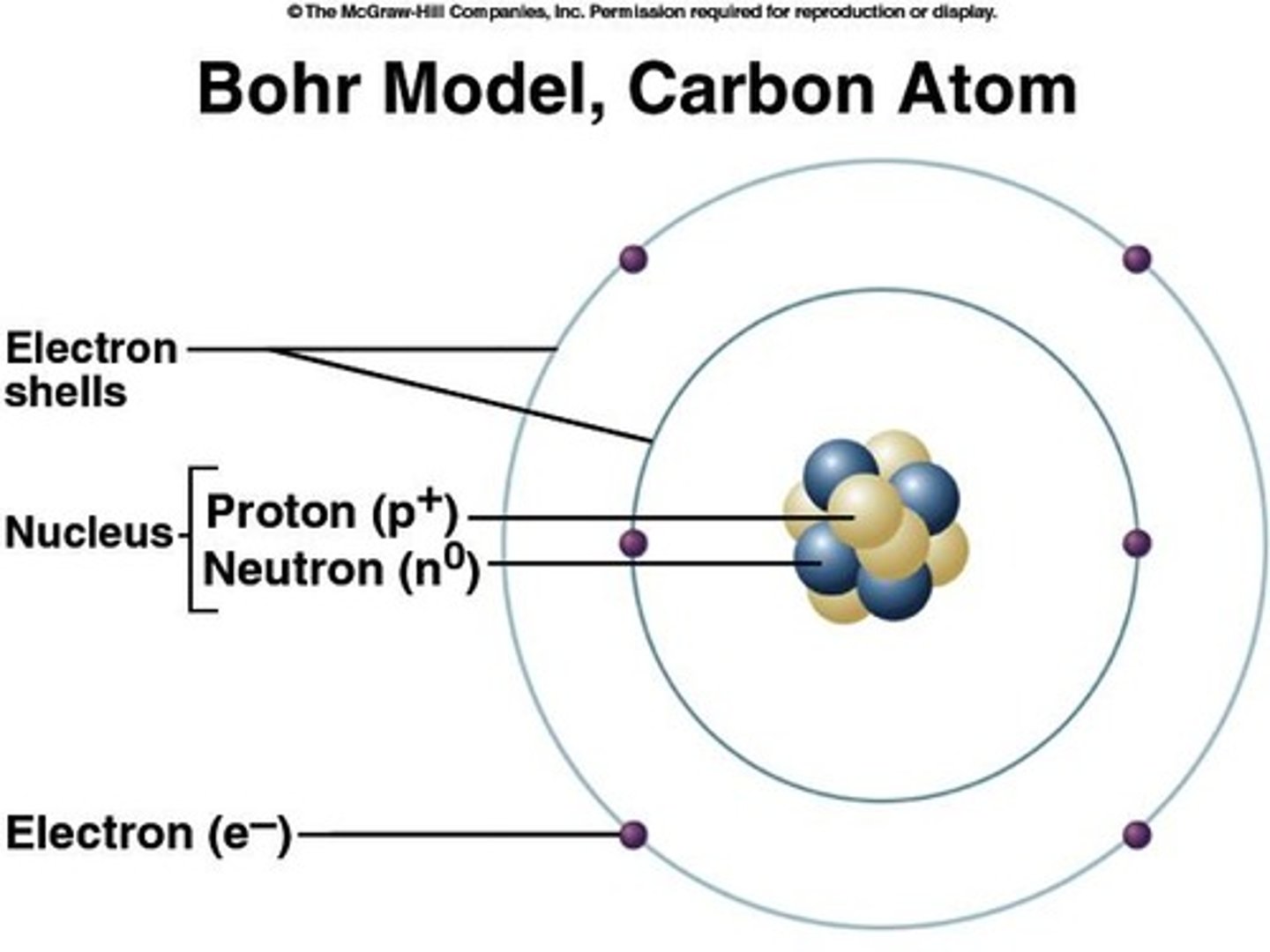 <p>center of atom contains protons and neutrons</p>