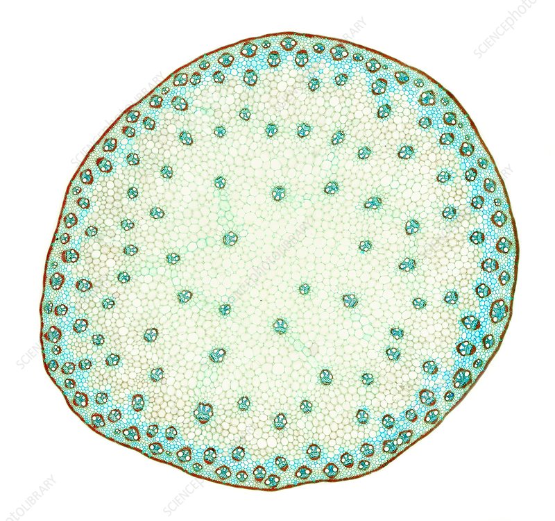 <p>What is this?</p>