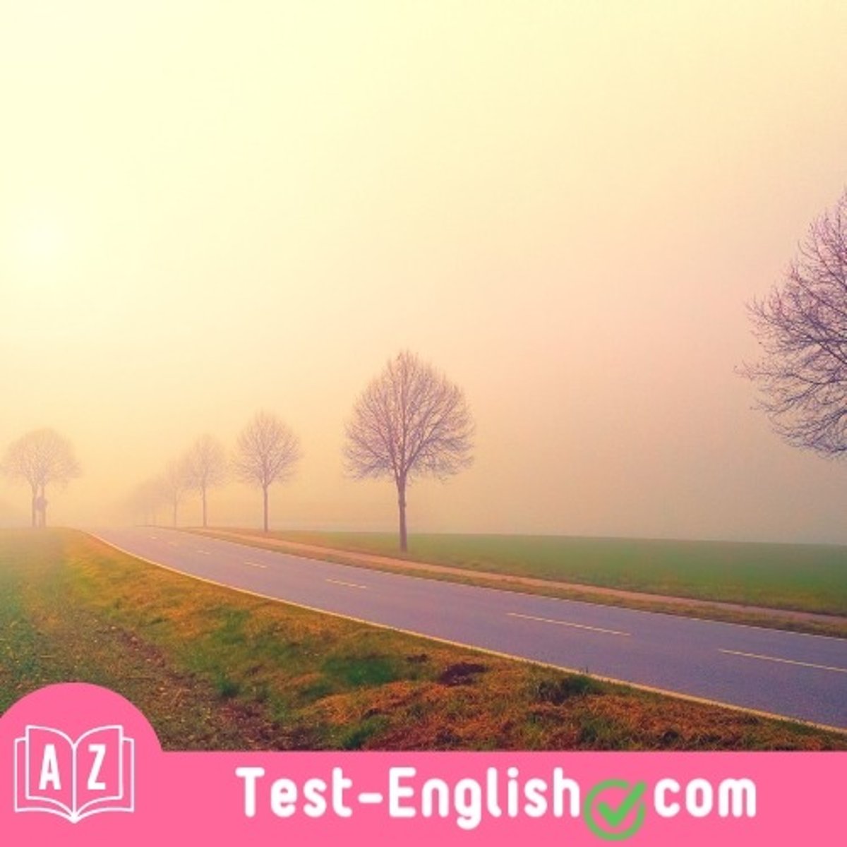 <p>It was _____ outside. The dust from the fires made visibility difficult.</p>