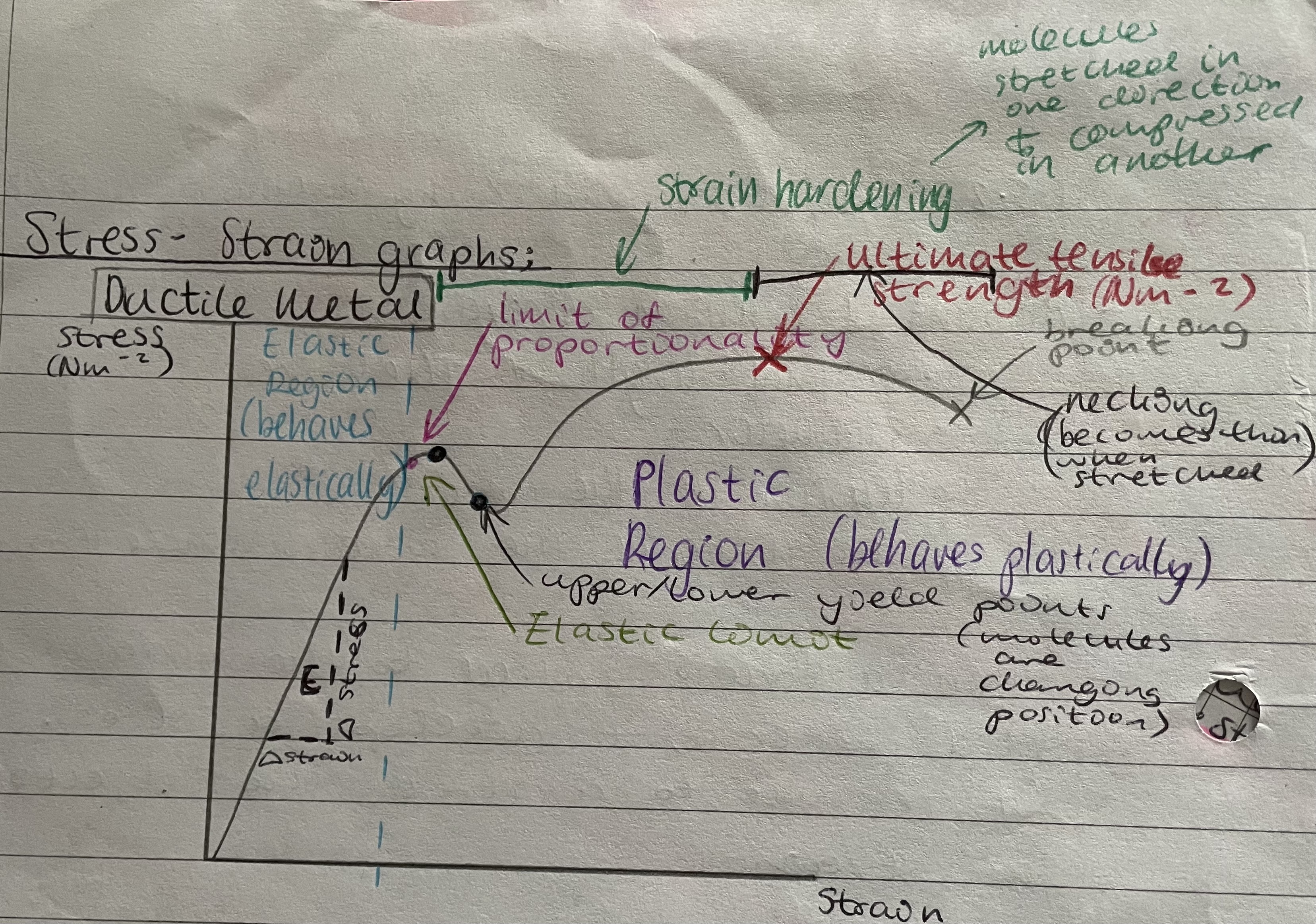 knowt flashcard image