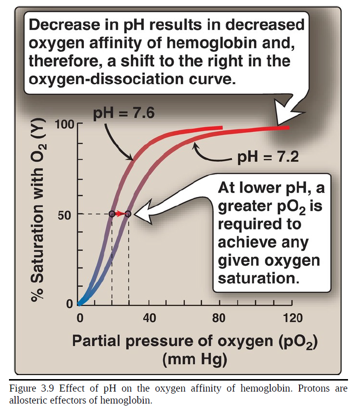 <p>decrease</p>