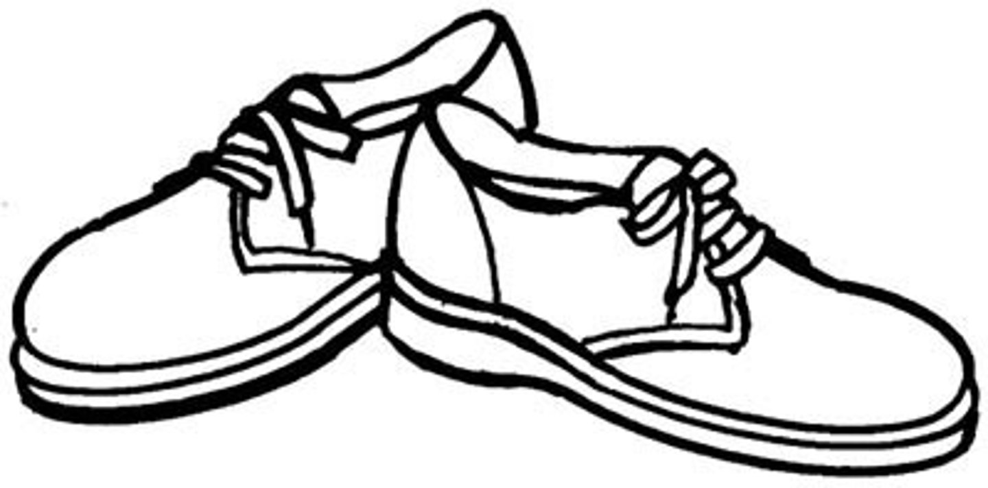 <p>(the) shoes</p>