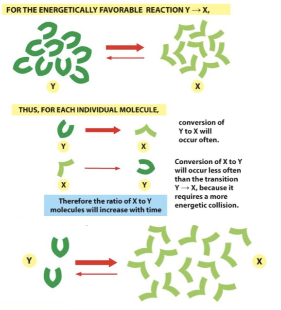 <p>K<sub>eq</sub>= K<sub>forward</sub>/K<sub>reverse</sub> = [products]/[reactants] (constant)</p>