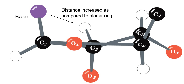 <p>puckering avoids VDW repulsion between substituents</p>