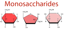 <p>What are these carb monosaccharides?</p>