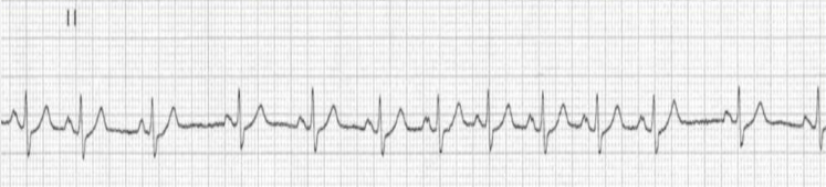 <p>what is this?</p>