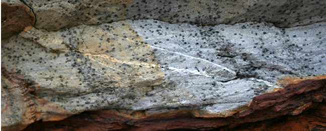 <p>What are products of contact metamorphism called</p>