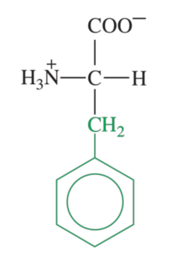 <p>What amino acid is shown in the image?</p>