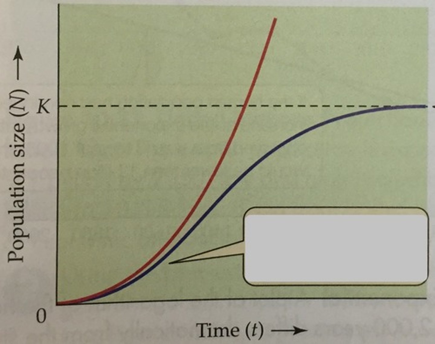 <p>The two different types of Population Growth</p>