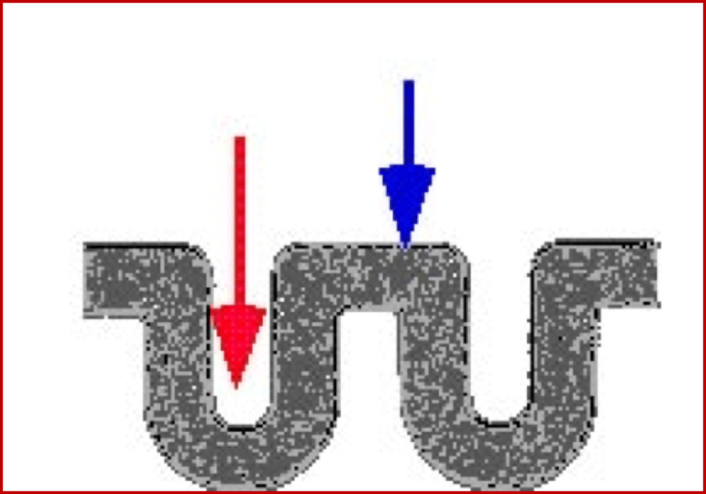 <p>folds in the brain (blue arrow)</p>