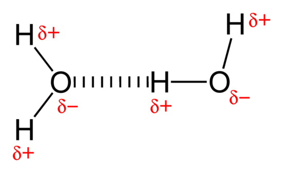* the strongest type of dipole-dipole force
* only occurs when hydrogen is bonded to:
  * Oxygen, Nitrogen, or Fluorine
* hydrogen bonds give water its properties (surface tension, etc…) 