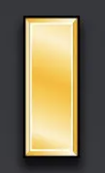 <p>Collar Device: One gold bar</p>