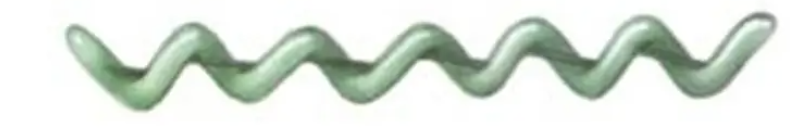 <p>bacterial cells that are extremely spiraled but are more flexible, shape is similar to a corkscrew</p>