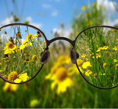 clear, to understand
(qīng chu)