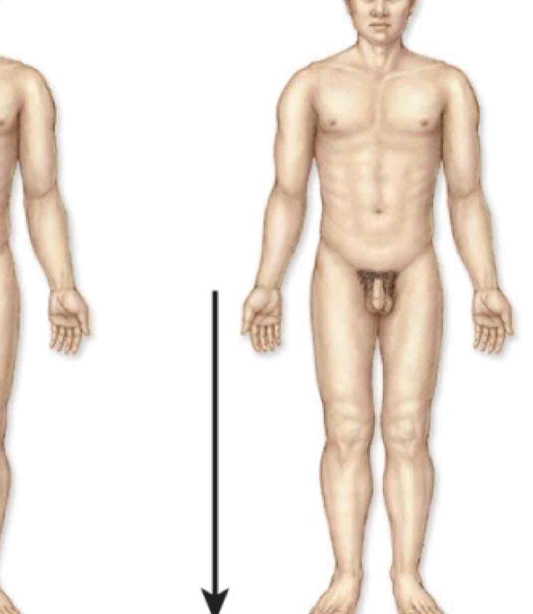 <p>Below</p>