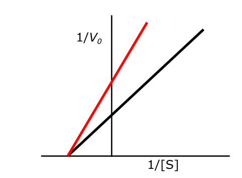 <p>Exam 1A-47</p><p>The following Lineweaver Burk plot shows an enzymatic reaction in the presence (left line) or absence (right line) of an inhibitor. What type of inhibitor is represented?</p><p></p><p>a. Noncompetitive reversible inhibitor</p><p>b. Uncompetitive reversible inhibitor</p><p>c. Irreversible inhibitor</p><p>d. Competitive inhibitor</p>