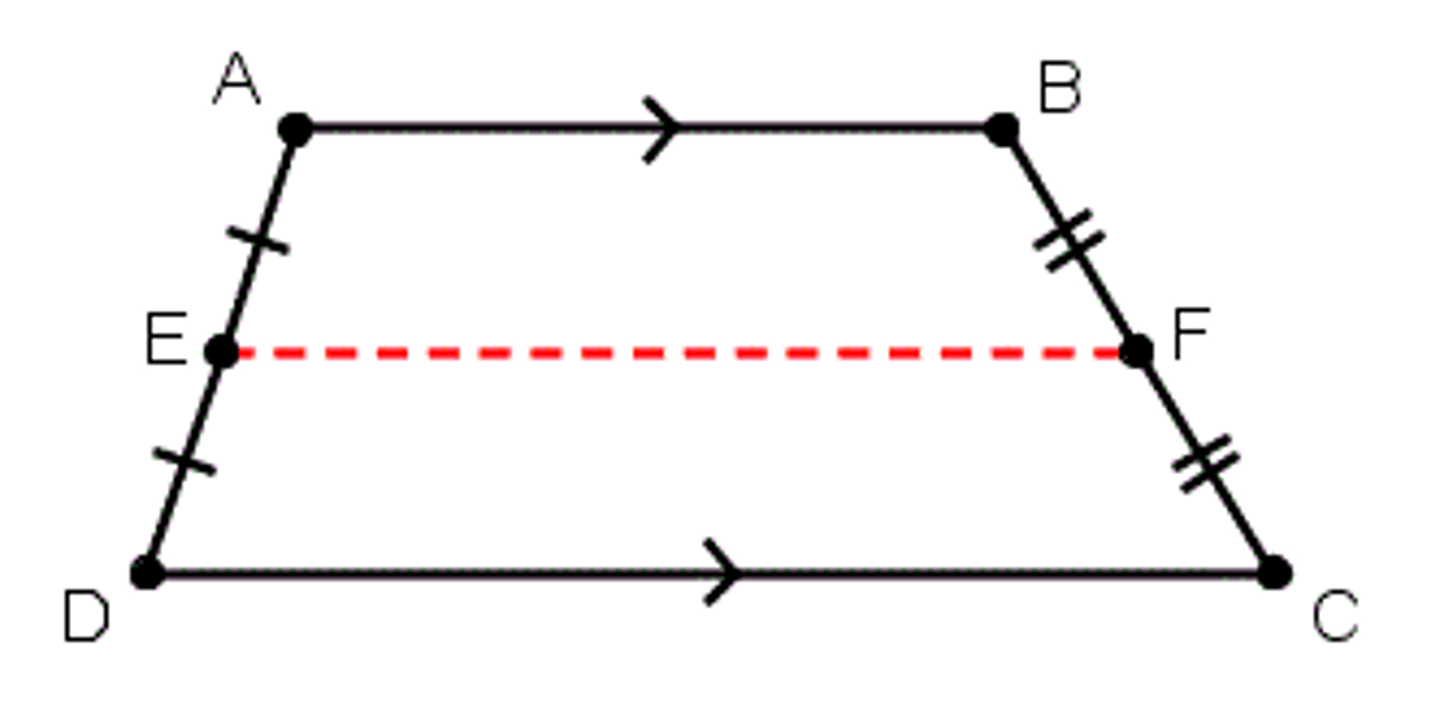 <p>a segment that connects the midpoints of the legs of a trapezoid. Length= avg. of bases</p>
