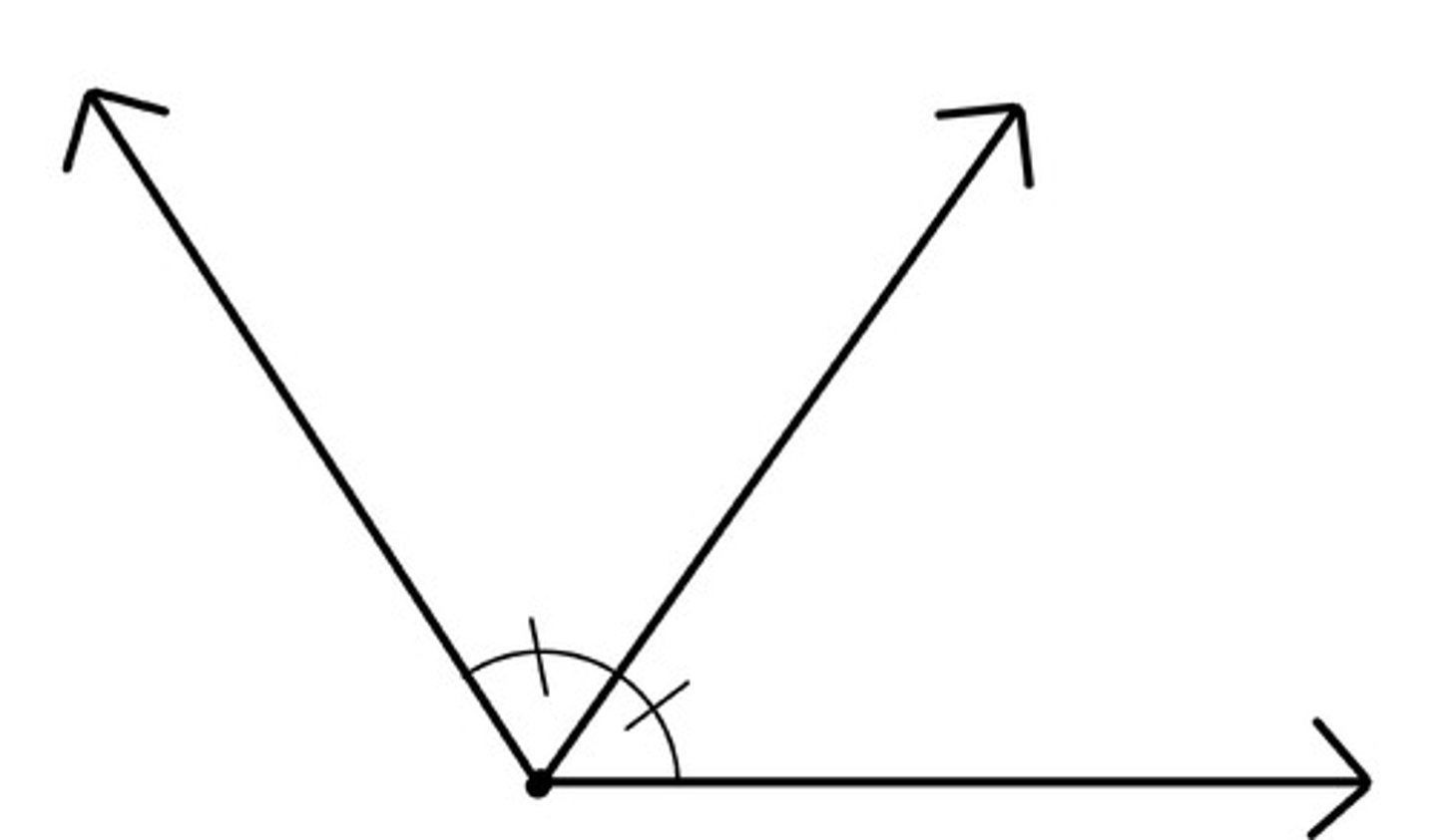 <p>The set of all points equidistant from two rays</p>