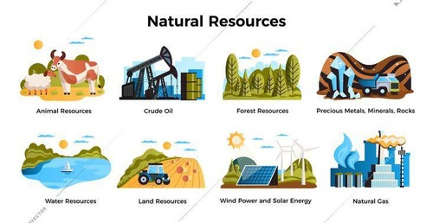<p>All natural resources used in production</p>