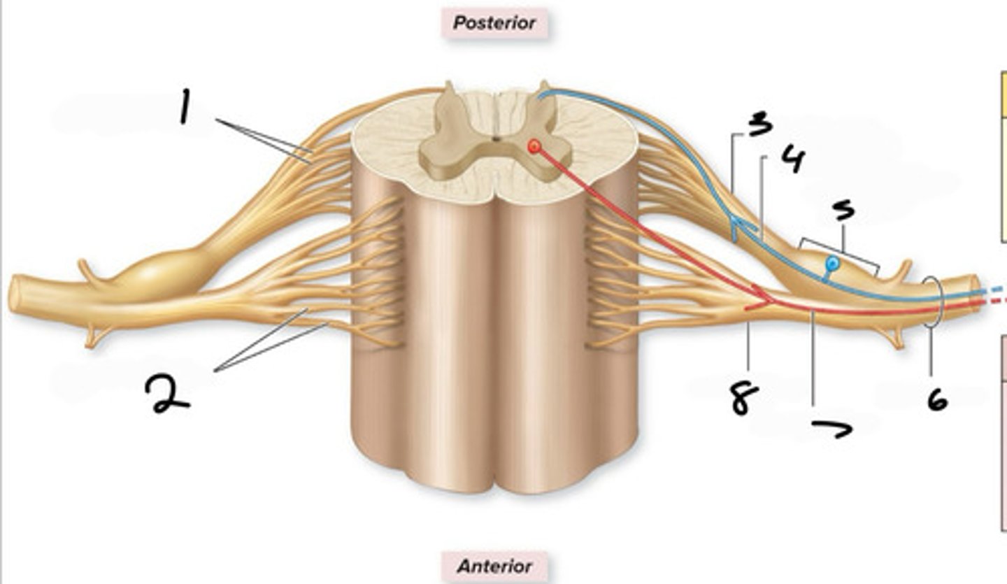 <p>1</p>