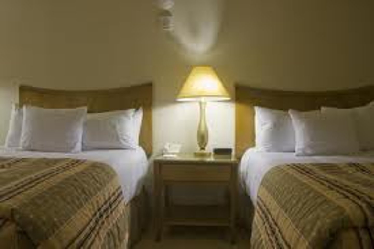<p>double room (two beds)</p>