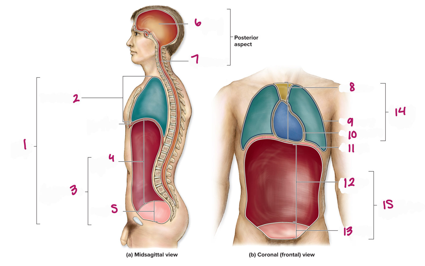 <p>Label figure 9.</p>
