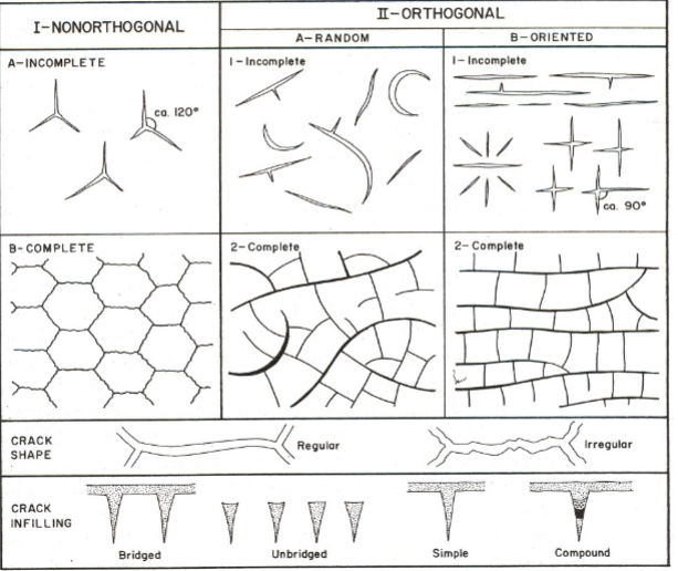 <p>Shrinking of a muddy layer exposed to the atmosphere (shallow water) </p>