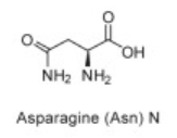 <p>N</p>