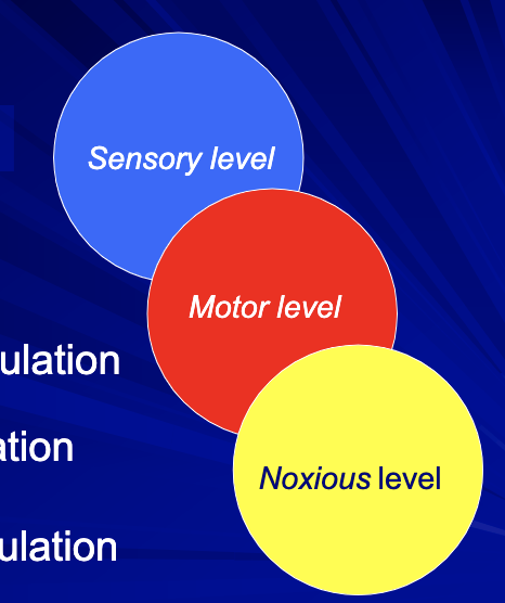 <ul><li><p>sensory level stimulation </p></li><li><p>motor level stimulation </p></li><li><p>noxious level stimulation </p></li></ul><p></p>