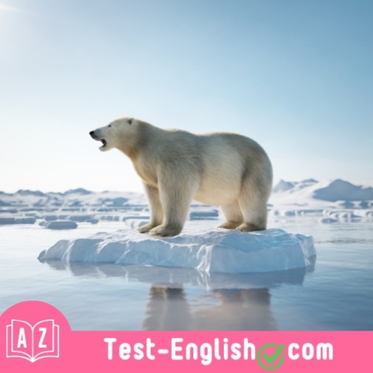 <p>_____ habitats due to melting ice are a critical threat to the survival of polar bears.</p>