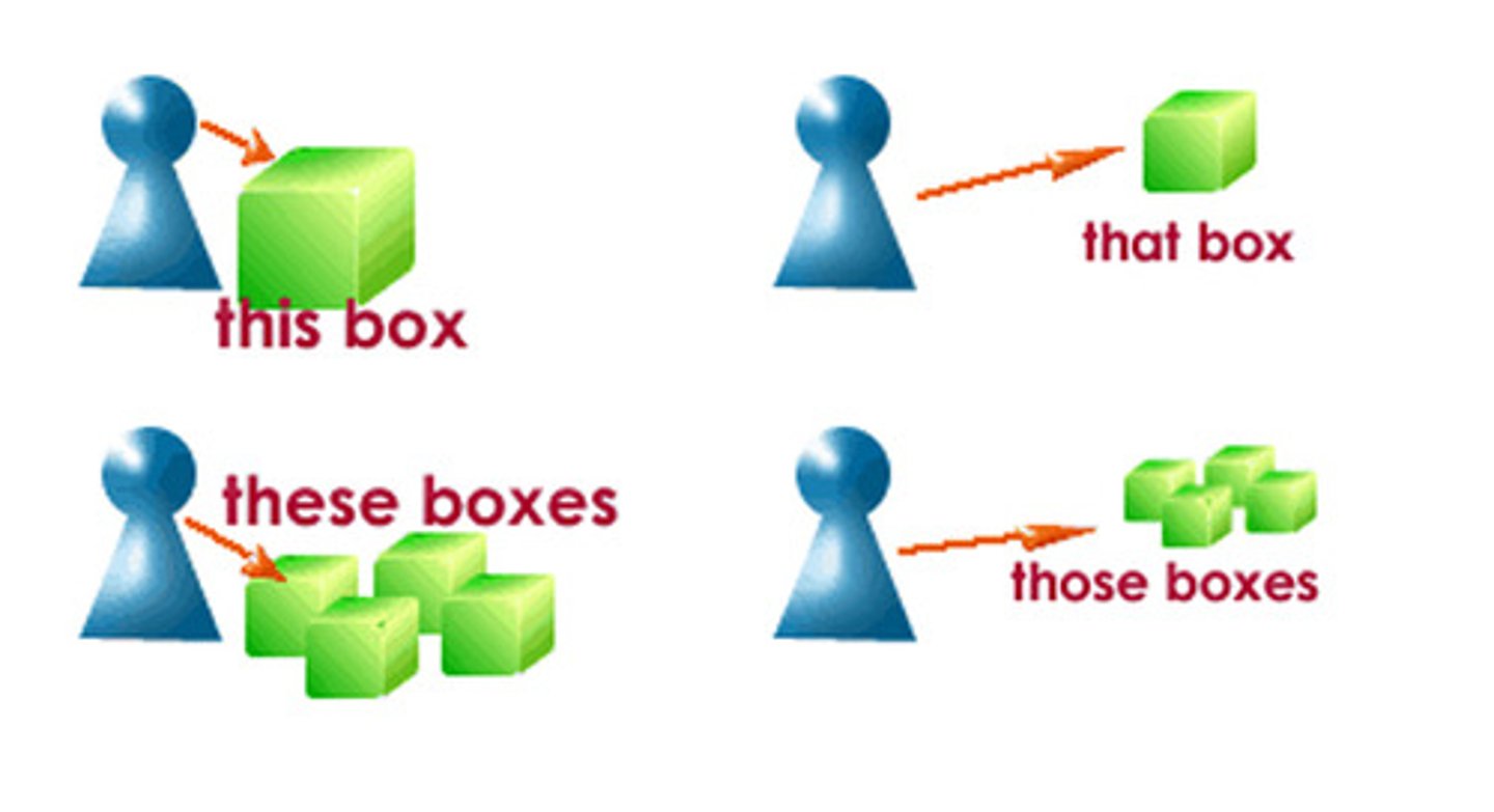 <p>Used for pointing out things e.g. this, that, these, those</p>