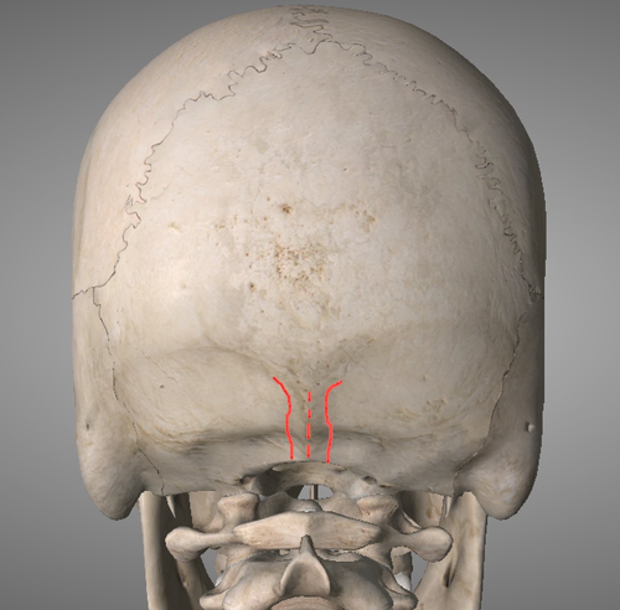 <p><em>identify the structure:</em></p>