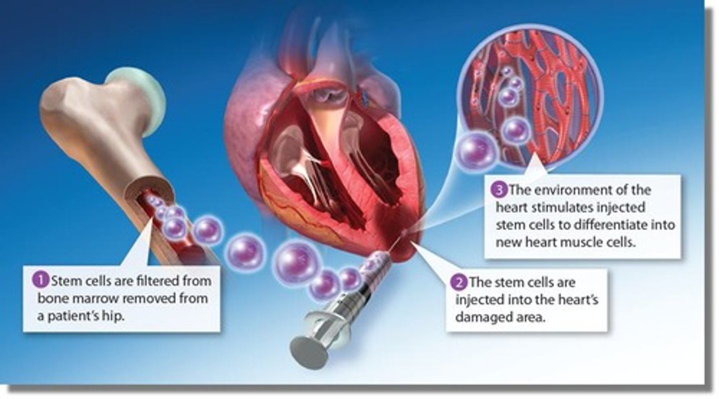 <p>Stem cells may enable regenerative medicine to replace damaged cells or tissue.</p>