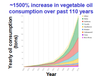 <p>Vegetable oil consumptions over 110 years</p>
