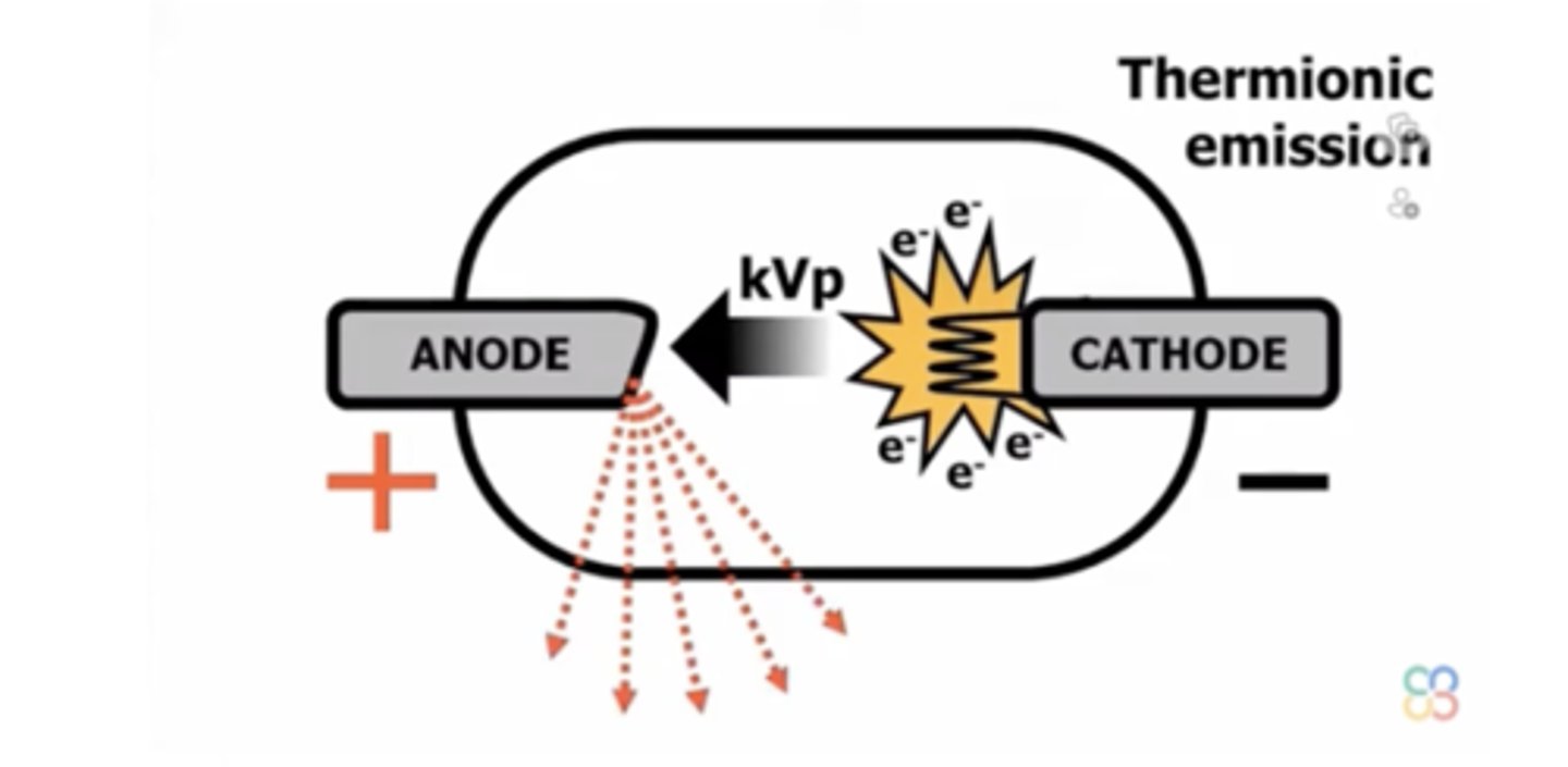 <p>- A source of electrons<br>- A method to accelerate electrons<br>- A clear path for moving electrons<br>- A vacuum</p>