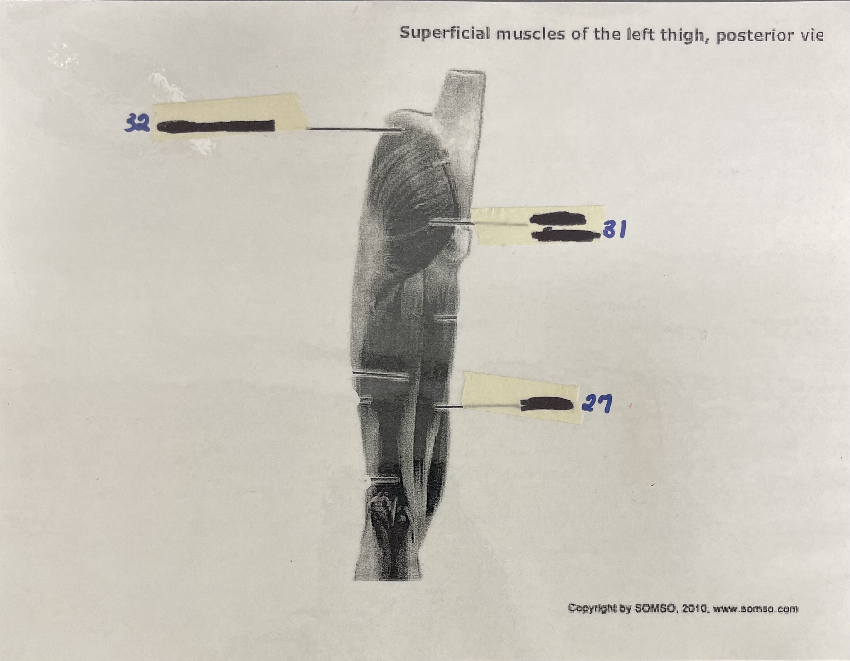 What is number 27