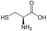 <p>CH2SH</p>