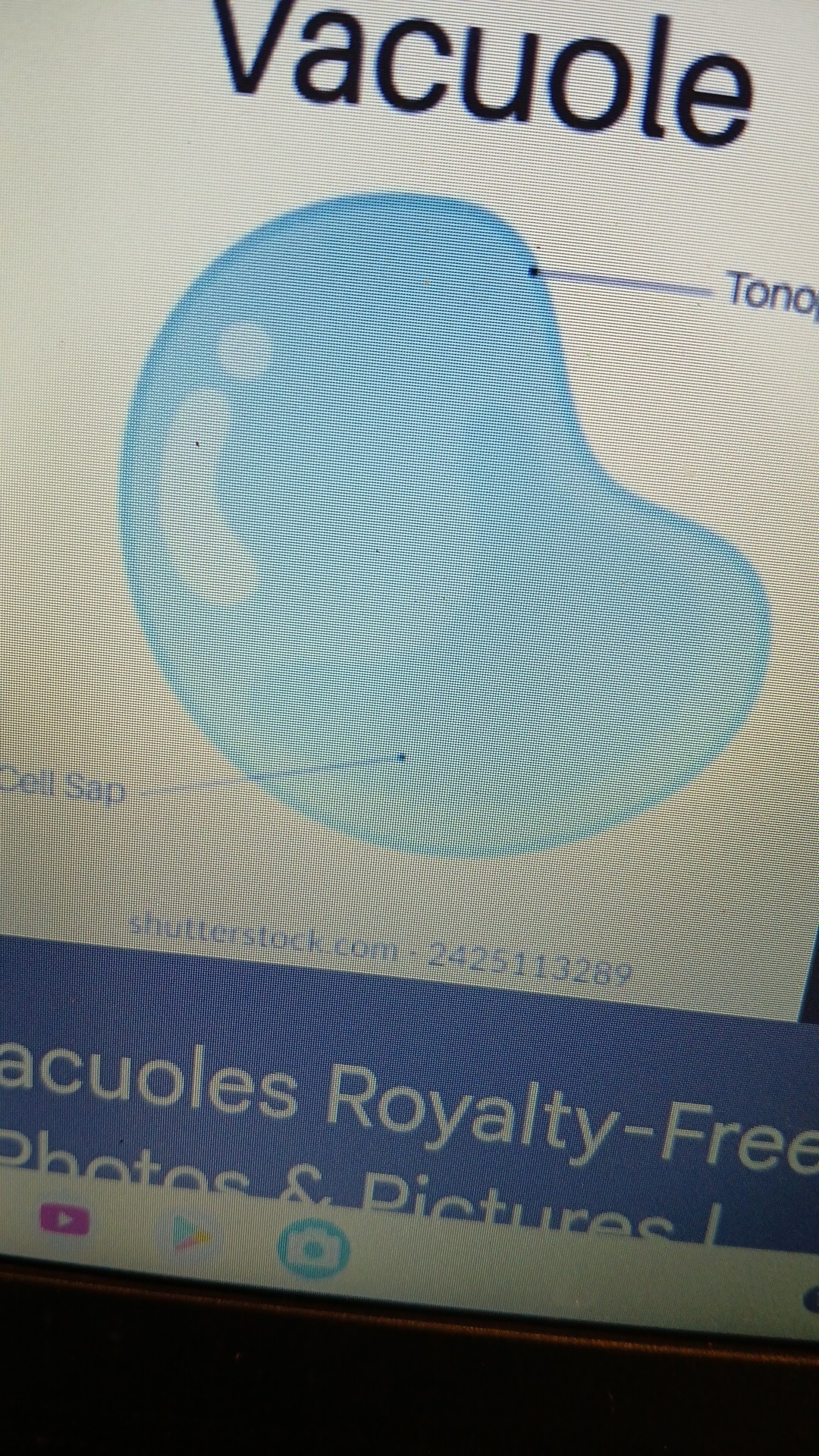 knowt flashcard image