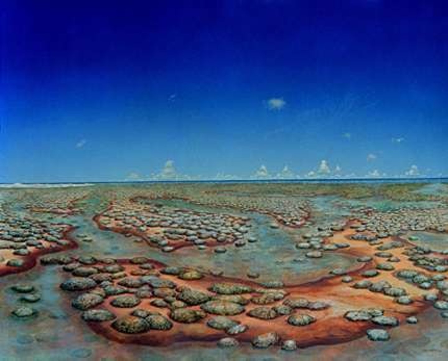 <p>Permian, Slimy Shoreline</p>